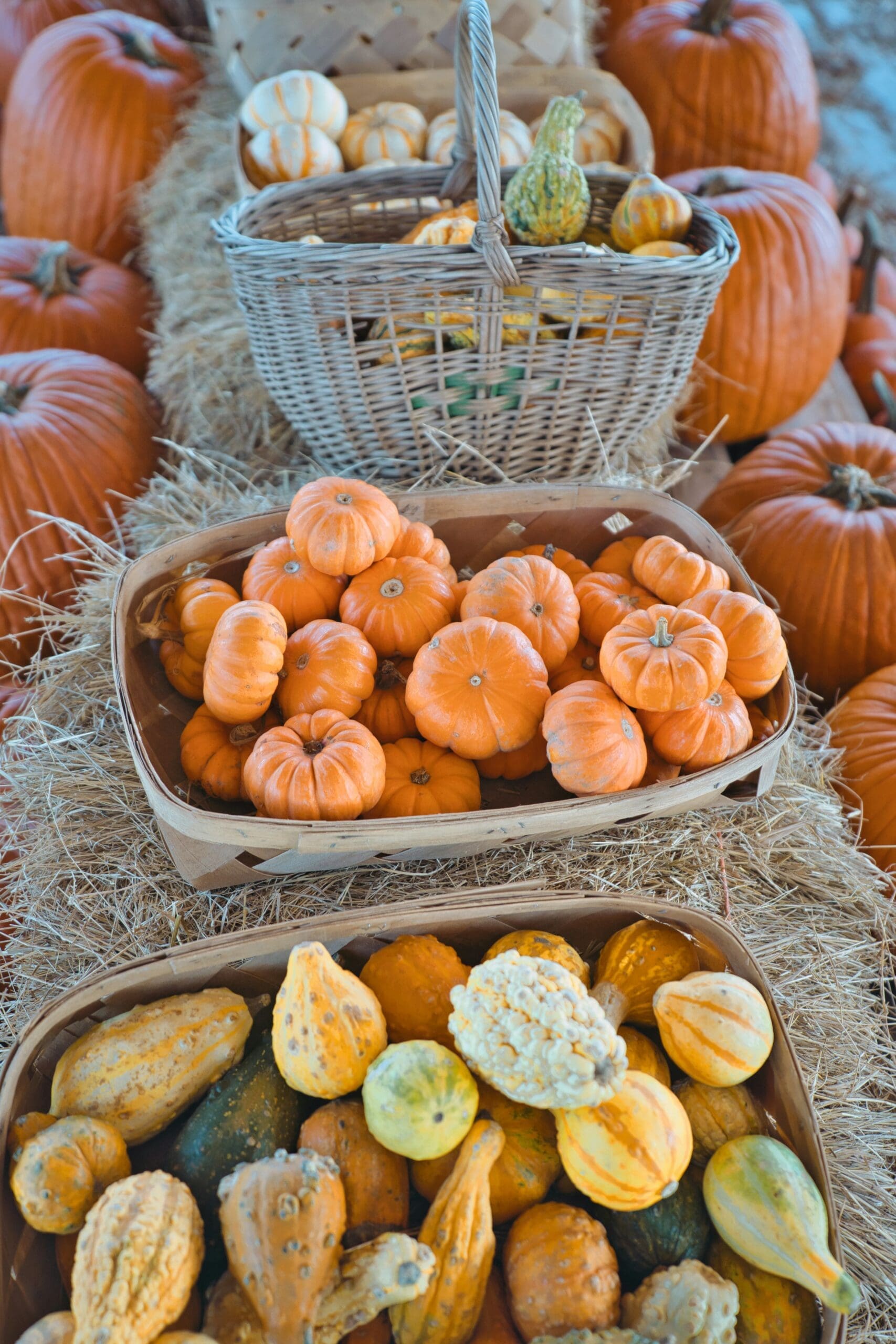Fall For Events Ways to Capitalize on the Start of Fall for Event Planners - McCourt ...